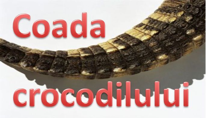 Coada crocodilului