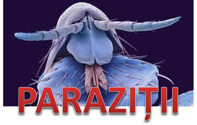 Parazitii