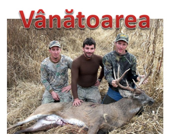 VANATOAREA