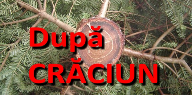 dupa craciun