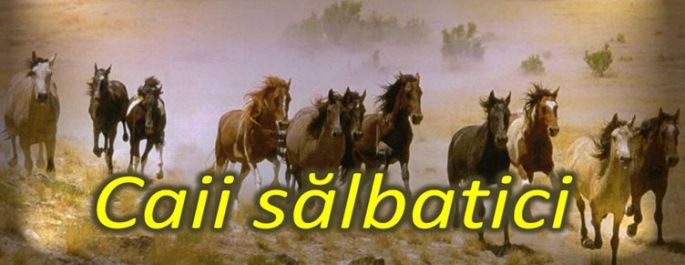 caii salbatici