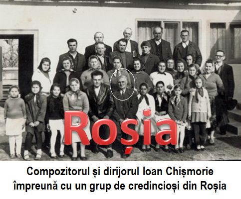 Rosia 5
