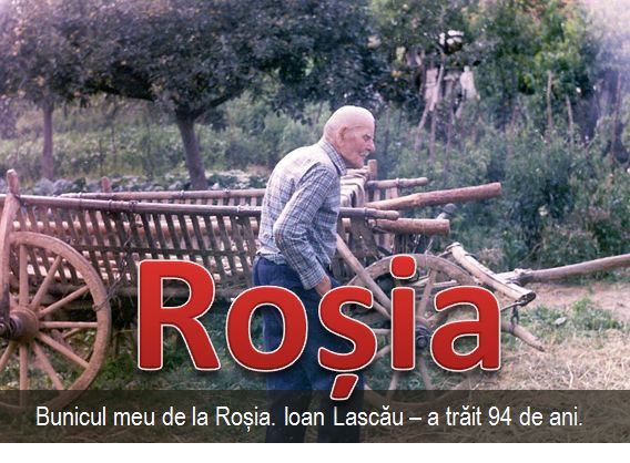Rosia 6