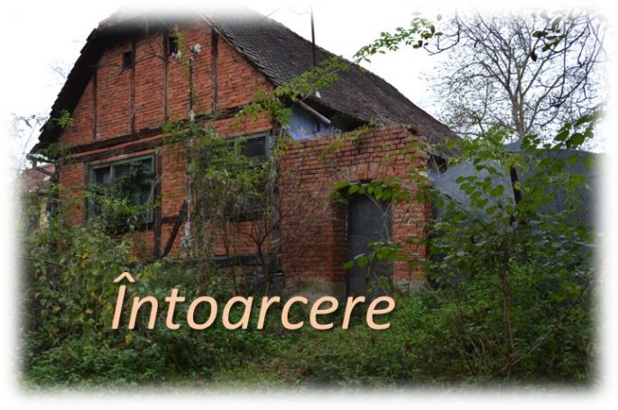 Intoarcere