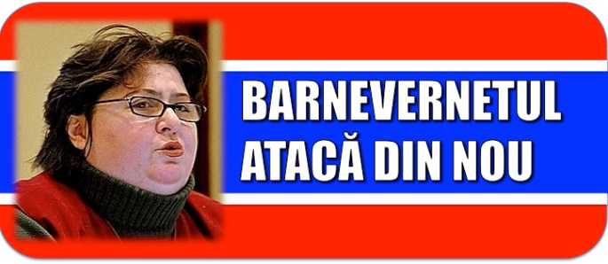 BARNEVERNETTULATACA